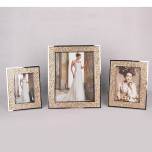 Family Portrait Frame