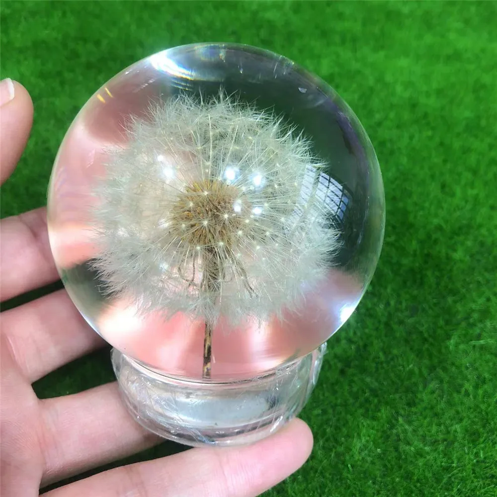 Dandelion Paperweight - Image 6