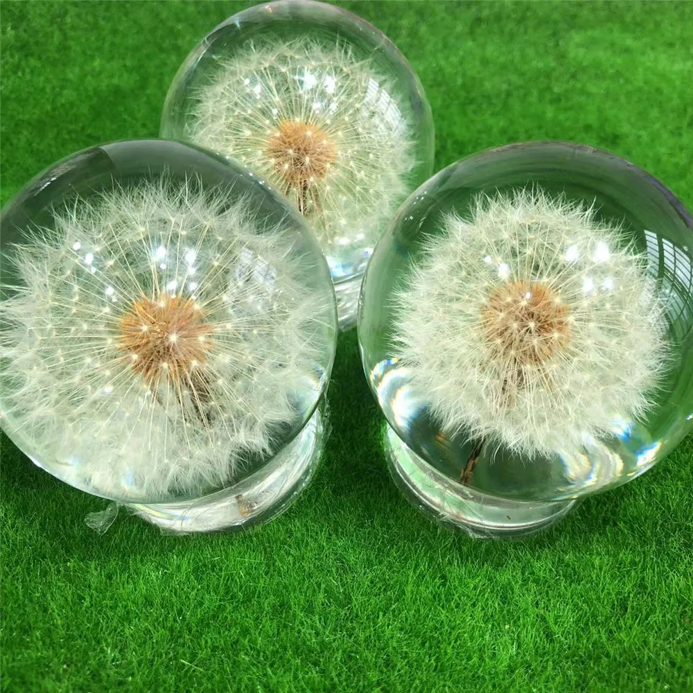 Dandelion Paperweight - Image 3